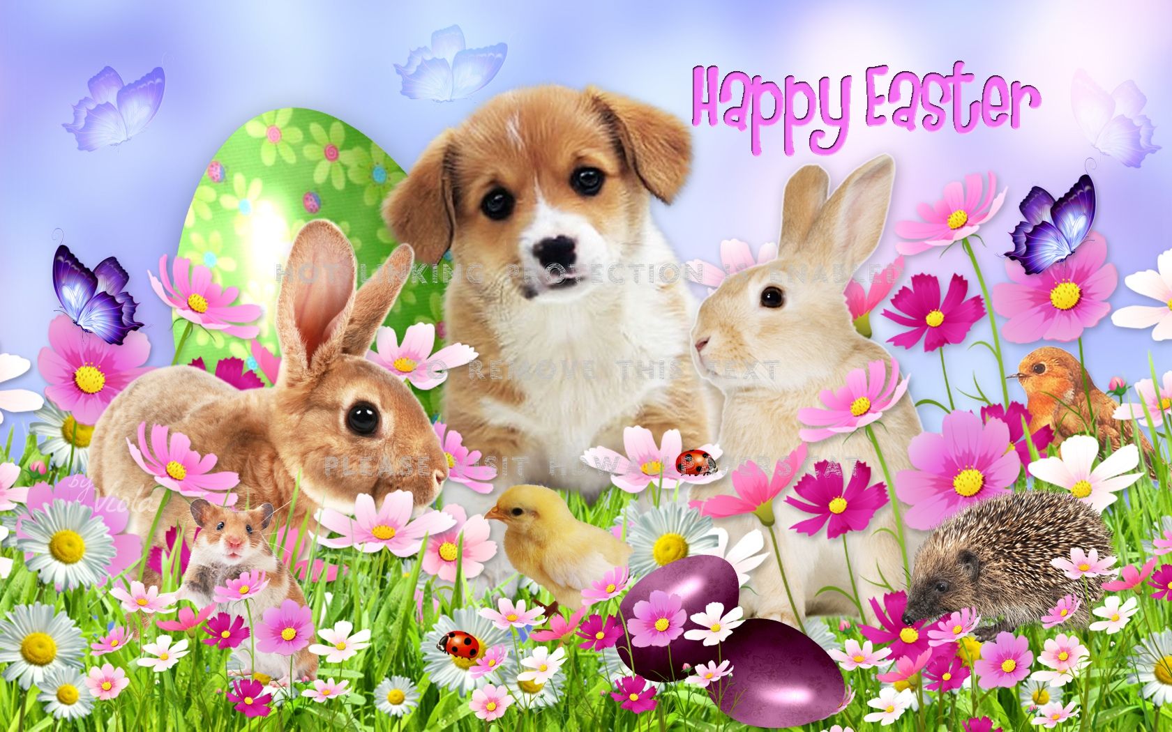 Easter Dog and Cat Wallpaper for Desktop