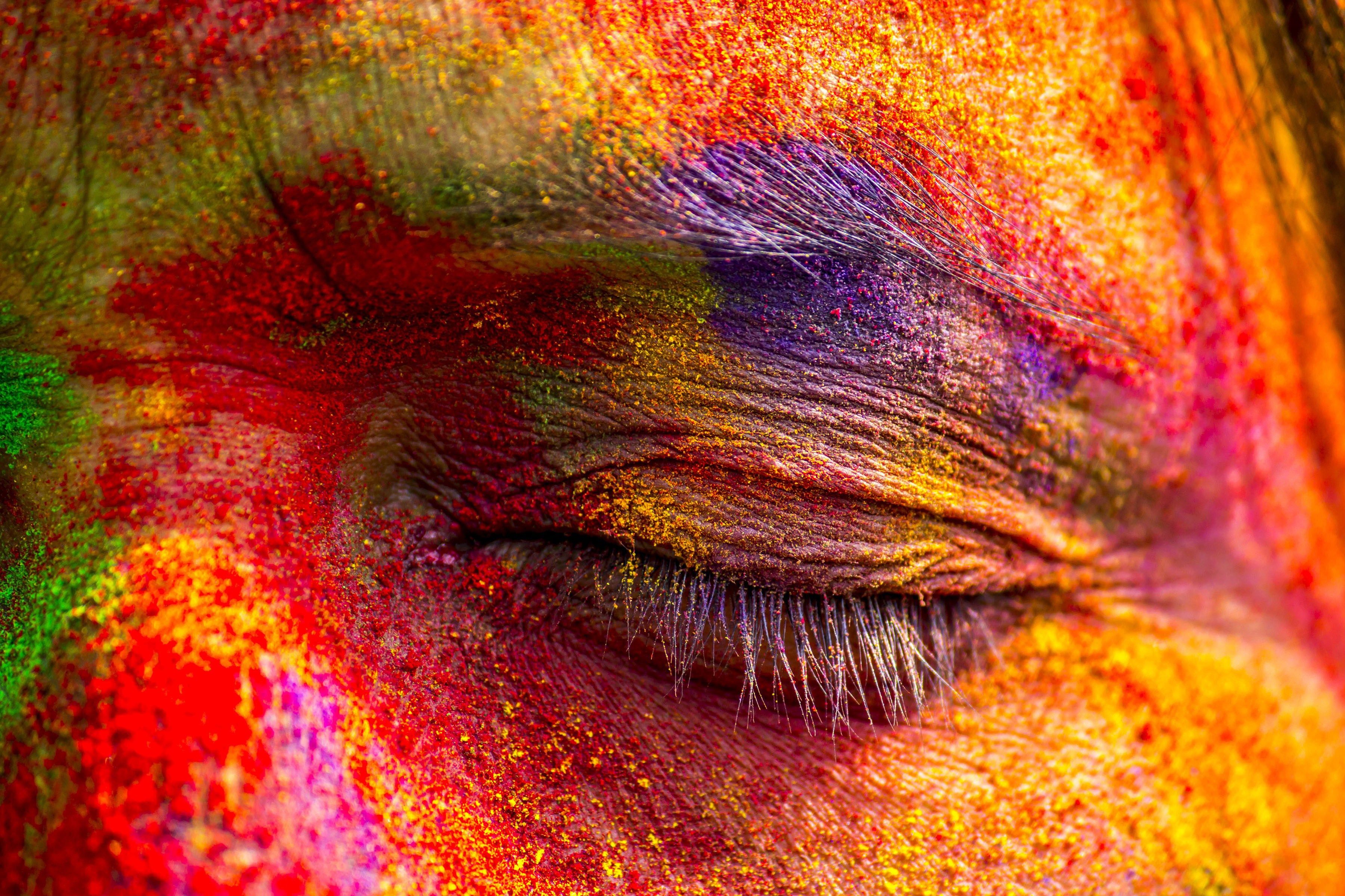 Holi 4K wallpapers for your desktop or mobile screen free and easy to  download