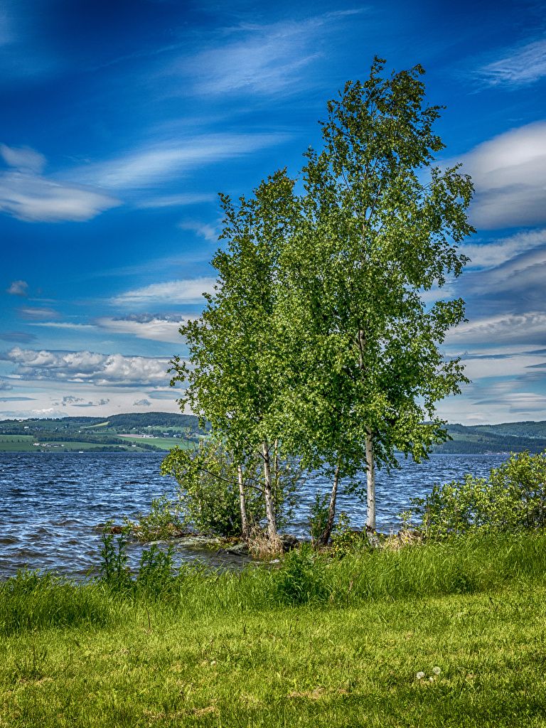 Desktop Wallpaper Norway Hedmark Summer Nature Sky Lake Grass Trees