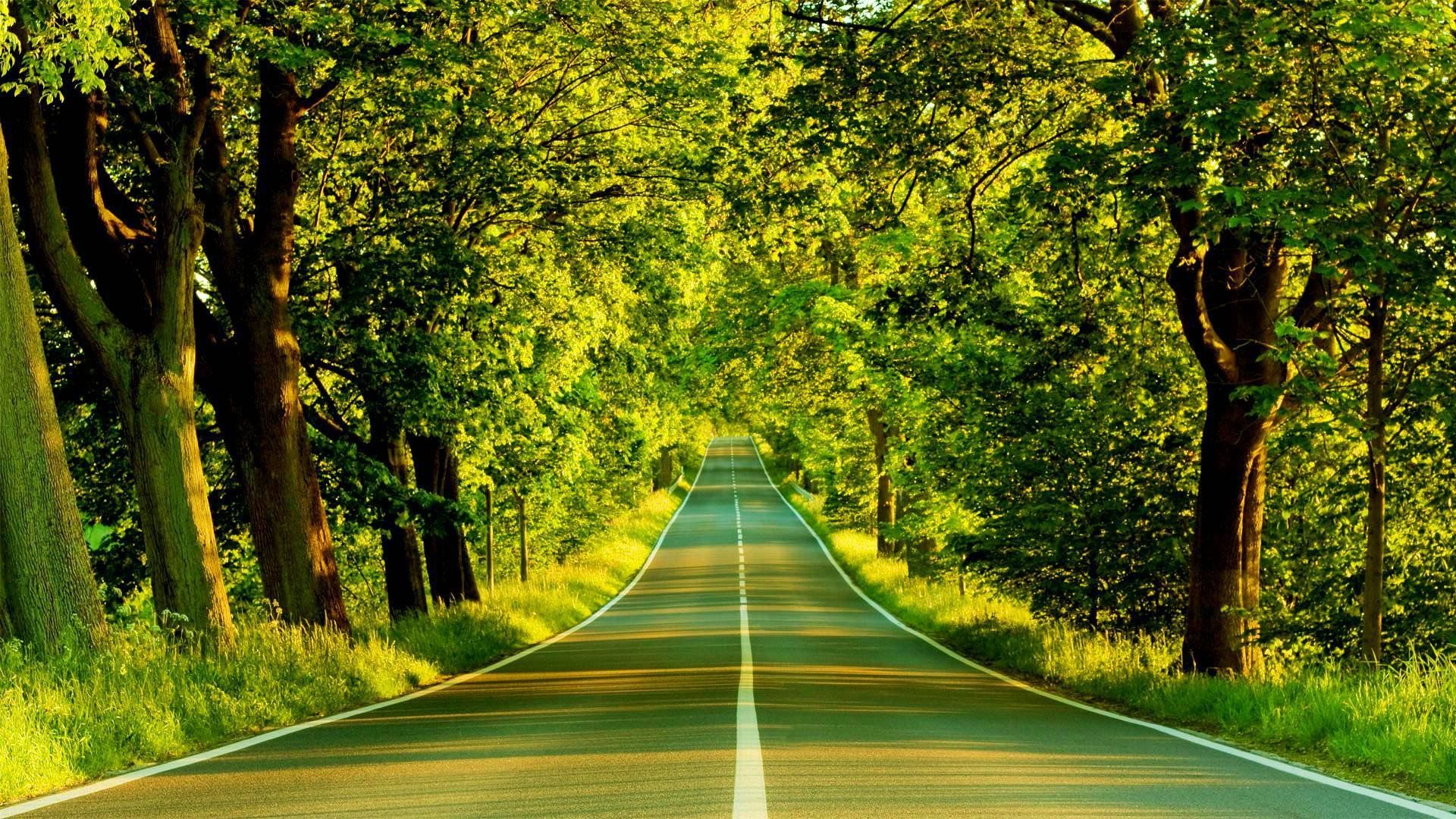 Green Road Wallpaper Free Green Road Background
