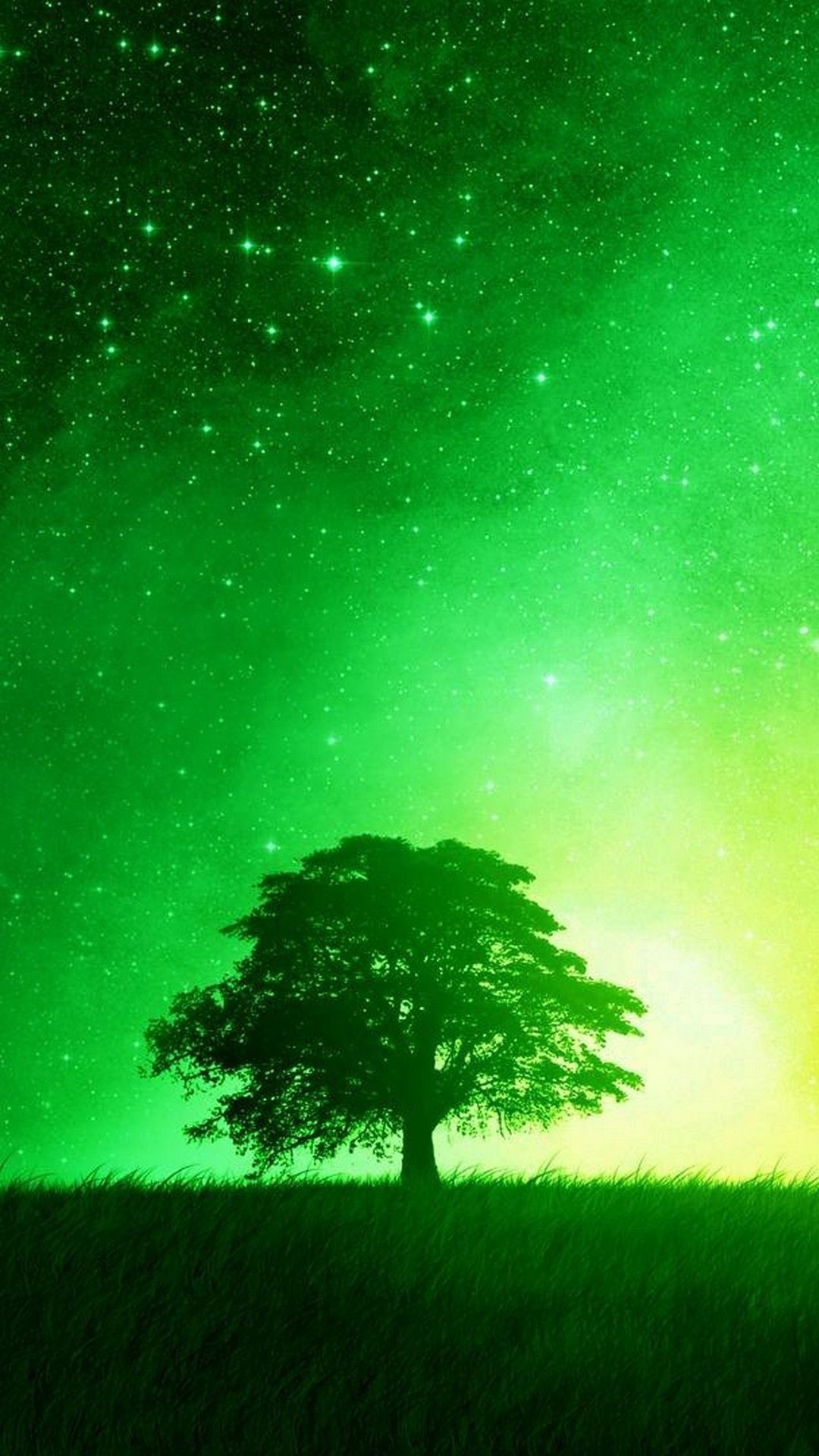 iPhone X Wallpaper Nature Green With Image Resolution Tree Phone Background