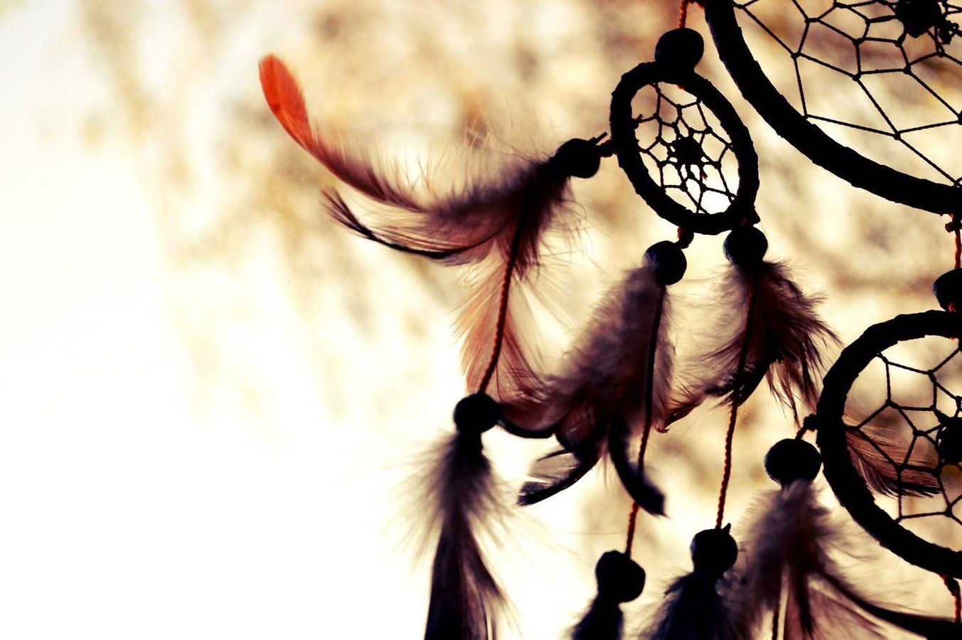 Picture Dreamcatcher Catcher Wallpaper HD Wallpaper & Background Download