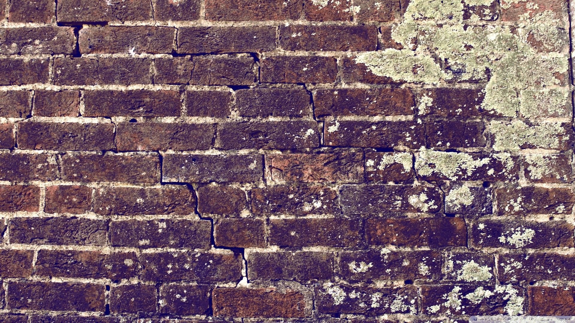 HD Brick Wallpaper Background For Free Download