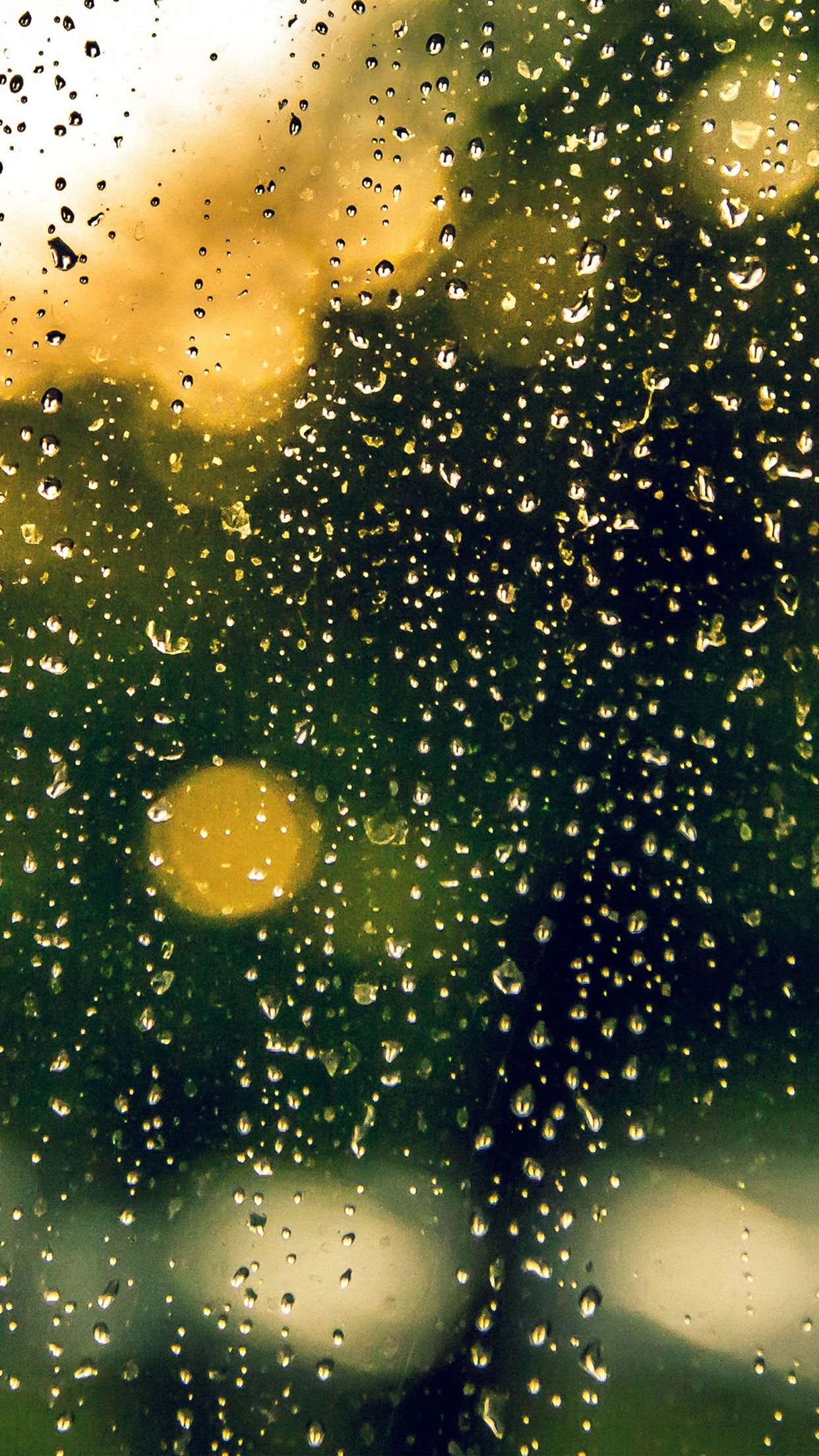 Rain window green nature Download Free HD Wallpaper for iPhone 6s, 8