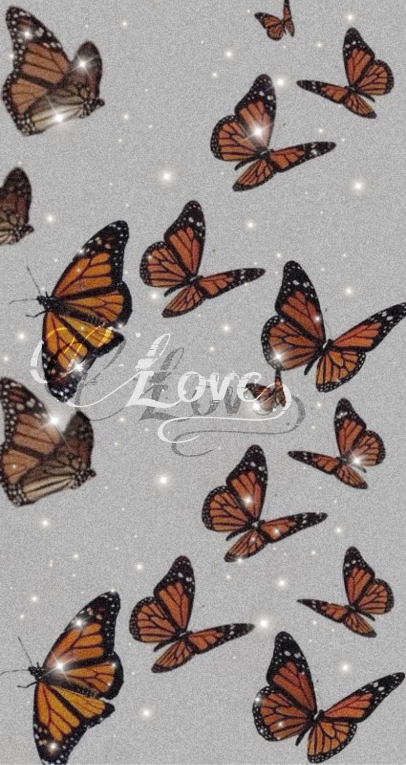 Cute butterfly wallpaper. Butterfly wallpaper iphone, Butterfly wallpaper background, Butterfly wallpaper
