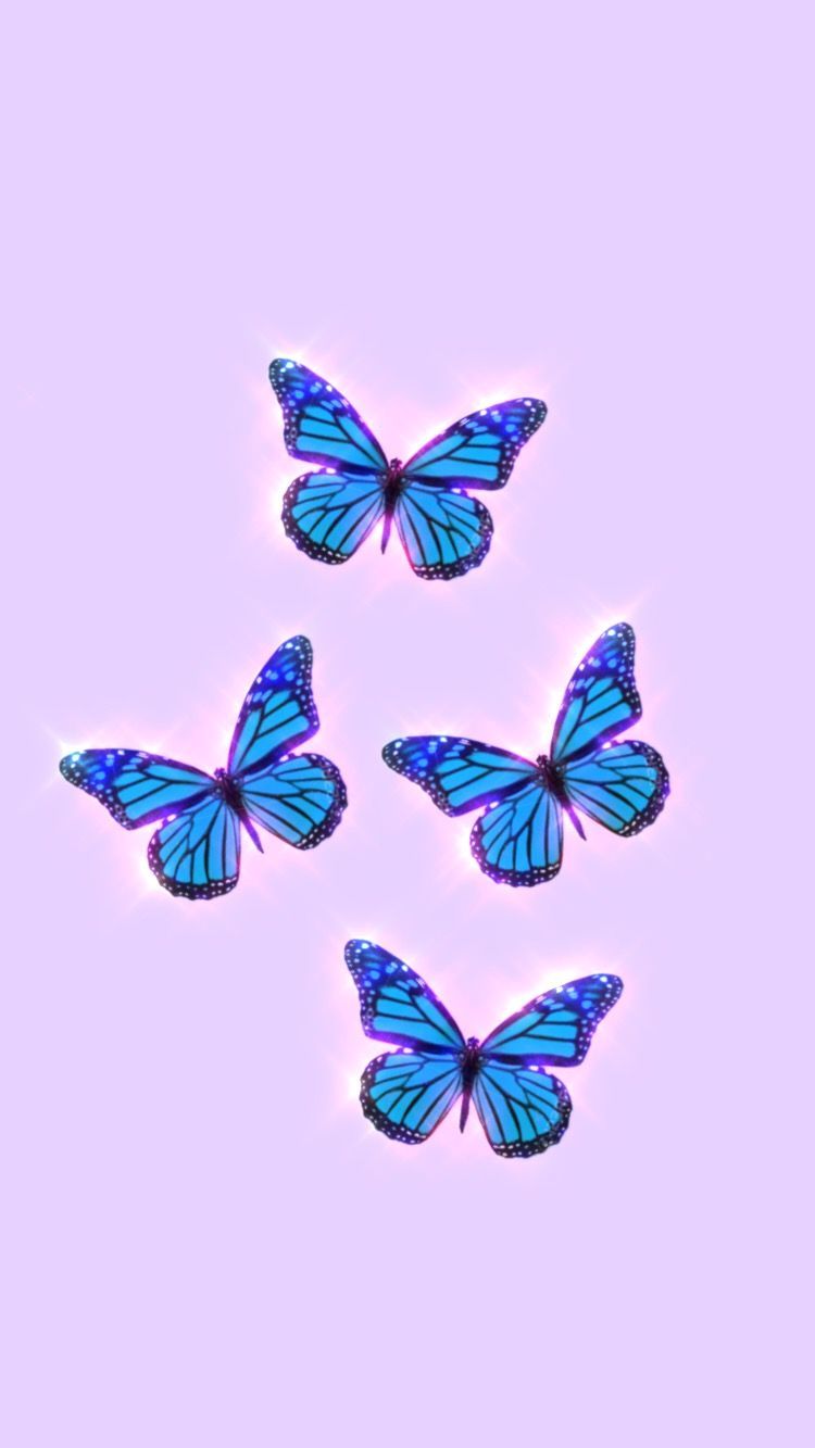 Butterfly aesthetic wallpaper. Blue butterfly wallpaper, iPhone wallpaper glitter, Butterfly wallpaper