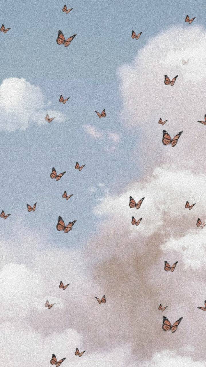 Butterfly aesthetic wallpaper