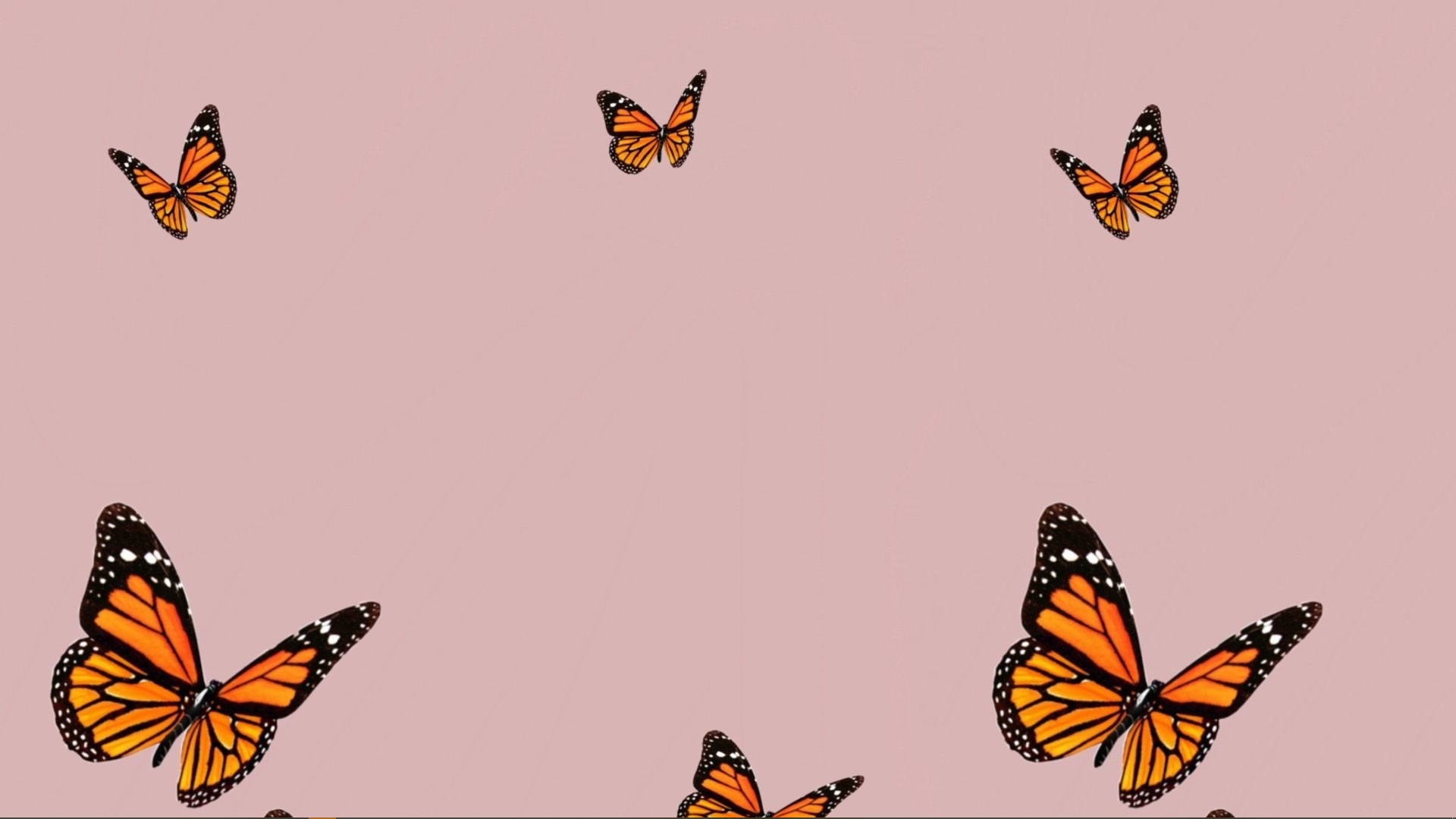 Aesthetic Butterfly MacBook Wallpaper