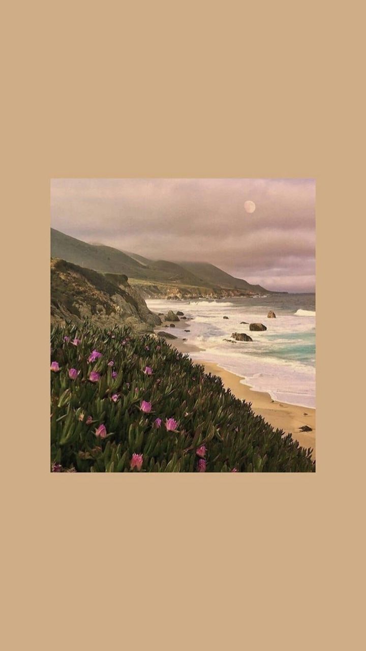 Light Lockscreen iPhone Wallpaper Brown Aesthetic