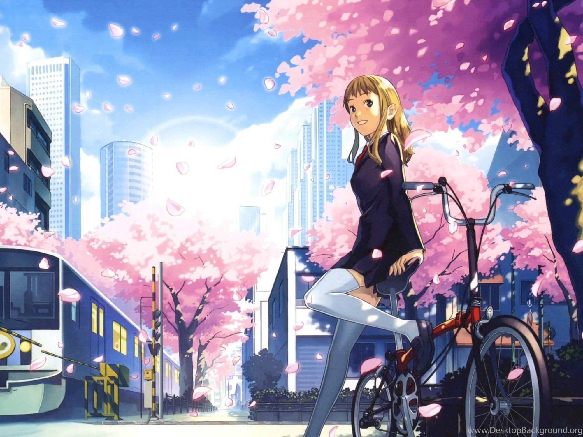 Full screen anime HD wallpapers