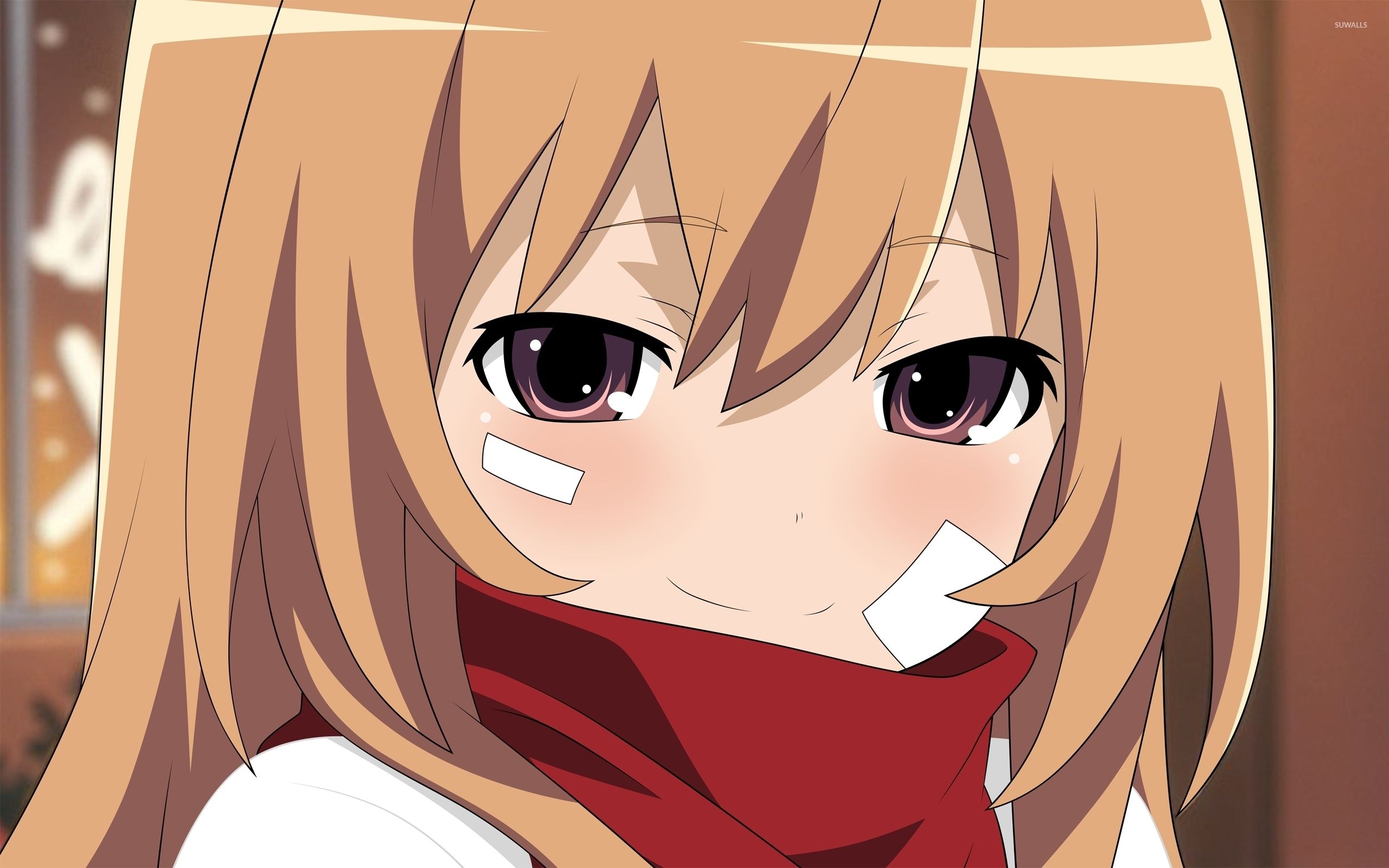Toradora! [3] wallpaper wallpaper