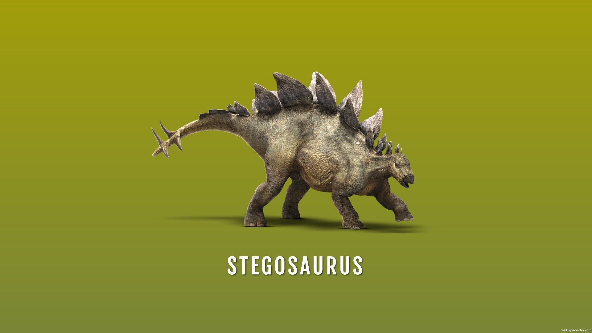 Stegosaurus Wallpaper Free Stegosaurus Background