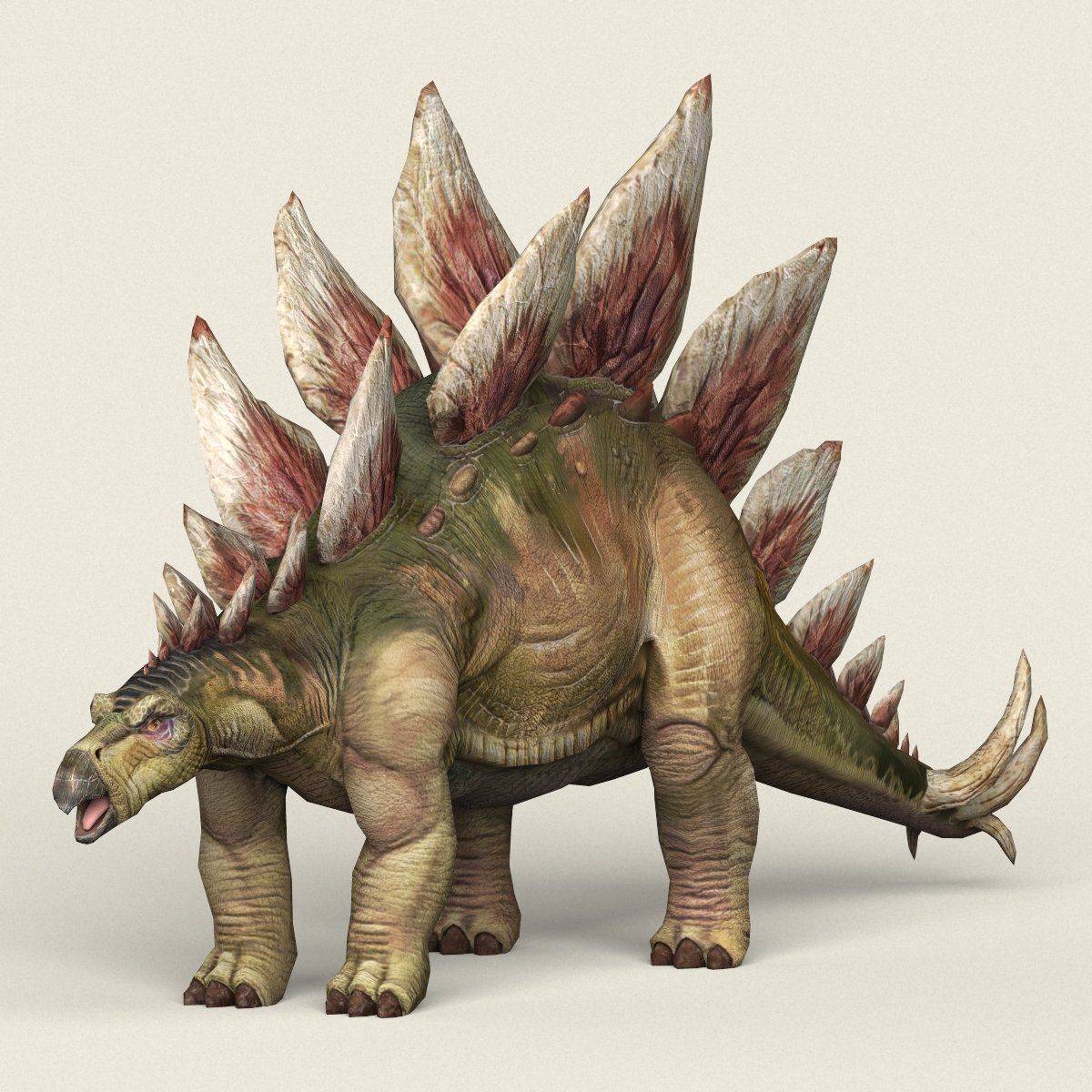 Dinosaur Stegosaurus 3D Model