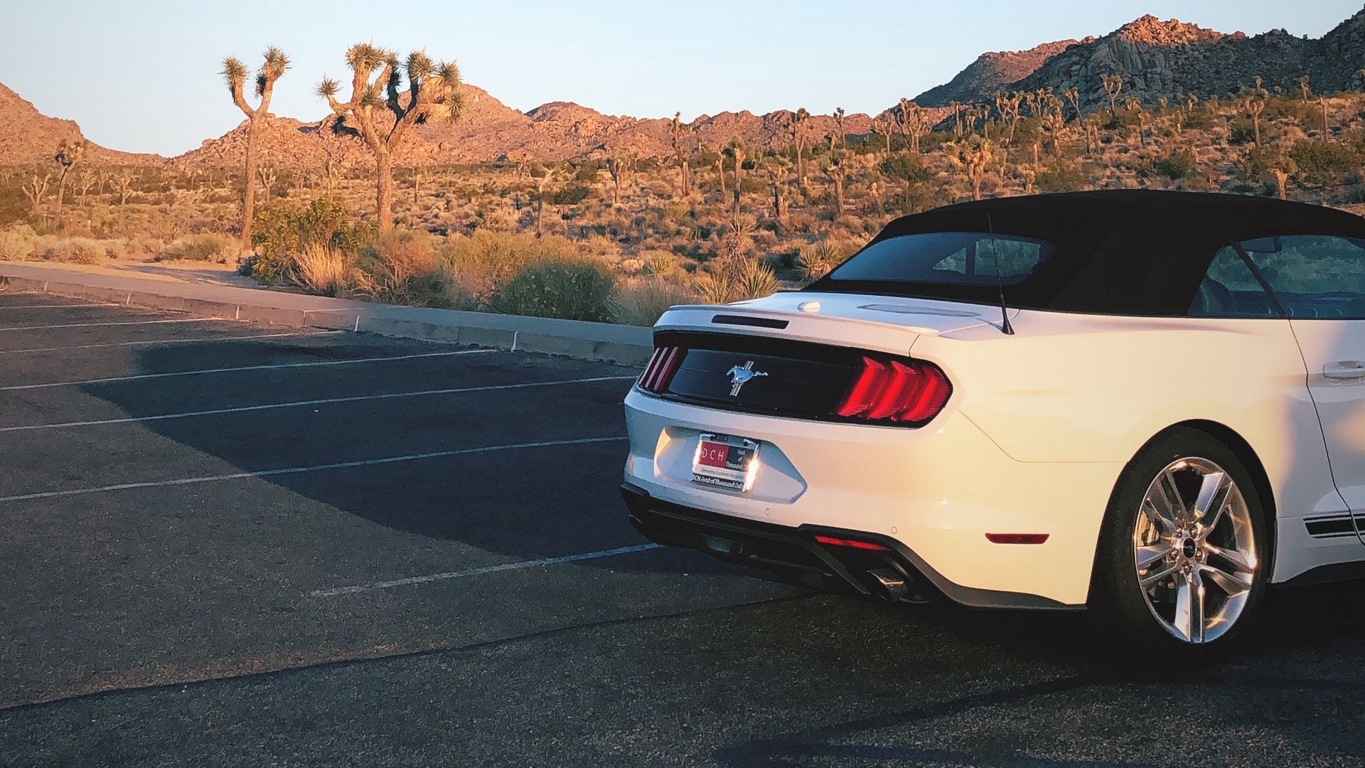 Ford mustang, car, desert, rear bumper wallpaper, download free picture and image for desktop