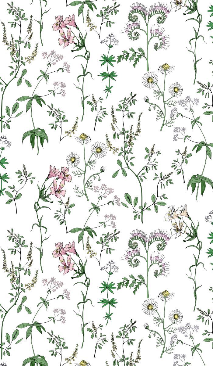 Meadow flowers vector seamless pattern. Meadow flowers, Seamless patterns, Meadow
