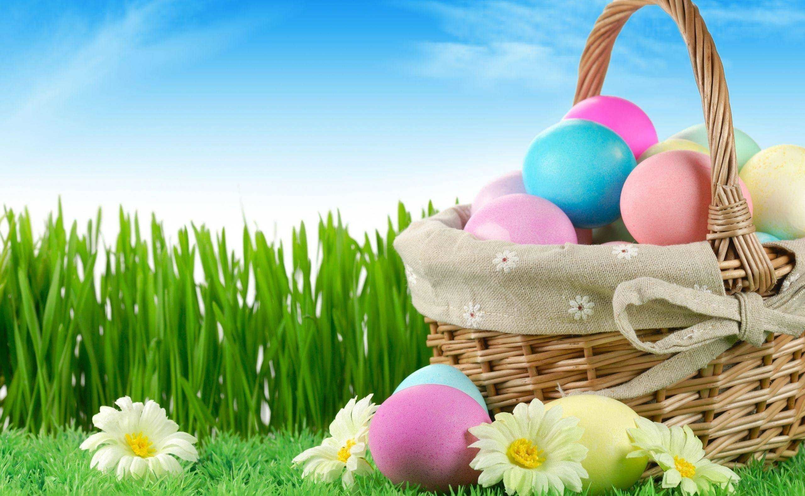 Easter Picture Wallpaper Background background picture