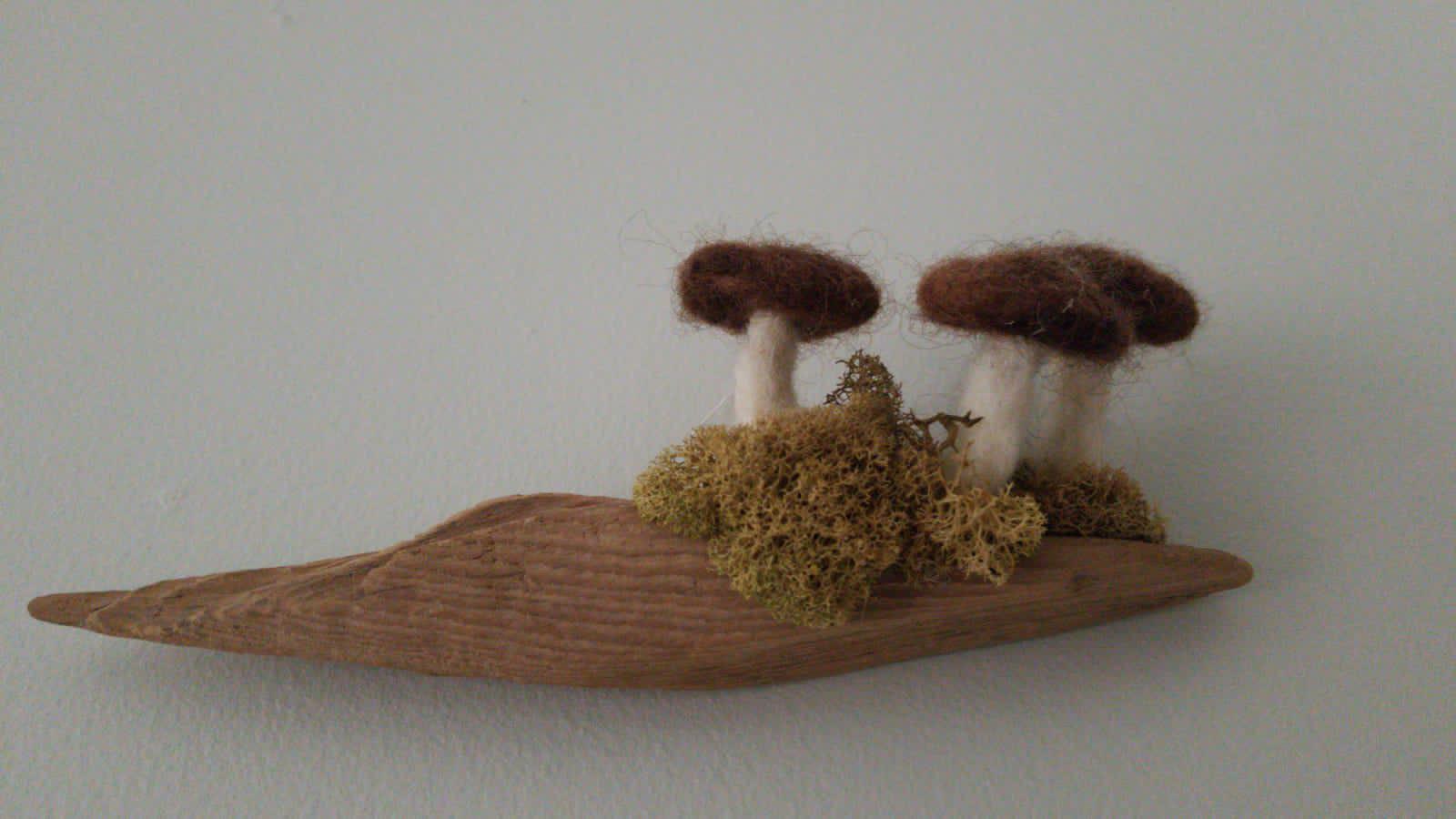 Found out my friend is a goblin mushroom art from her house!