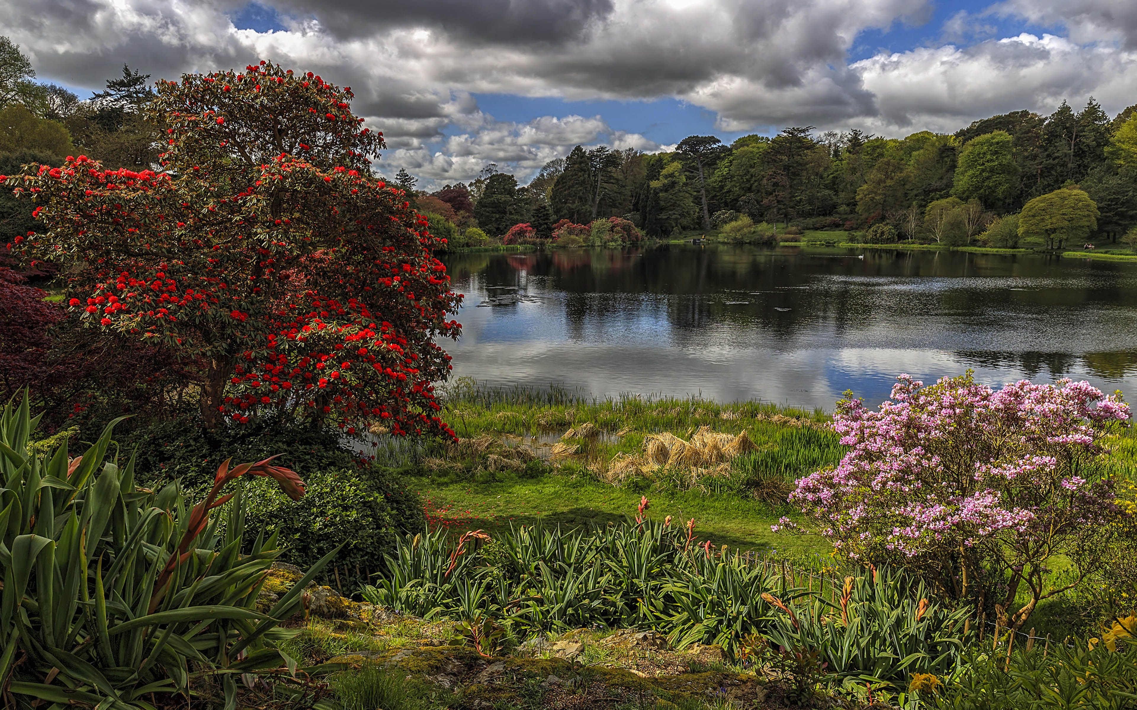 Spring At Mount Stewart Lake In County Down Northern Ireland Desktop HD Wallpaper For Pc Tablet And Mobile Download, Wallpaper13.com