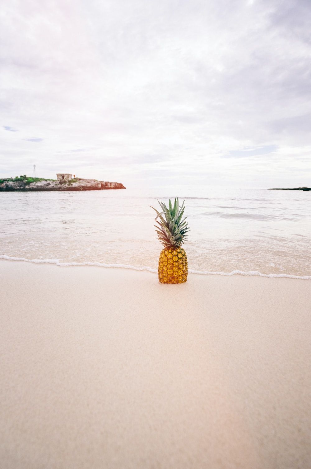 Pineapple At The Beach Picture. Download Free Image