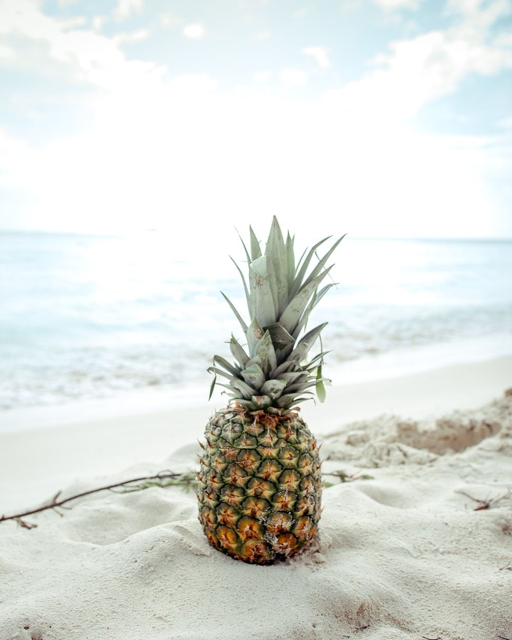 Pineapple At The Beach Picture. Download Free Image