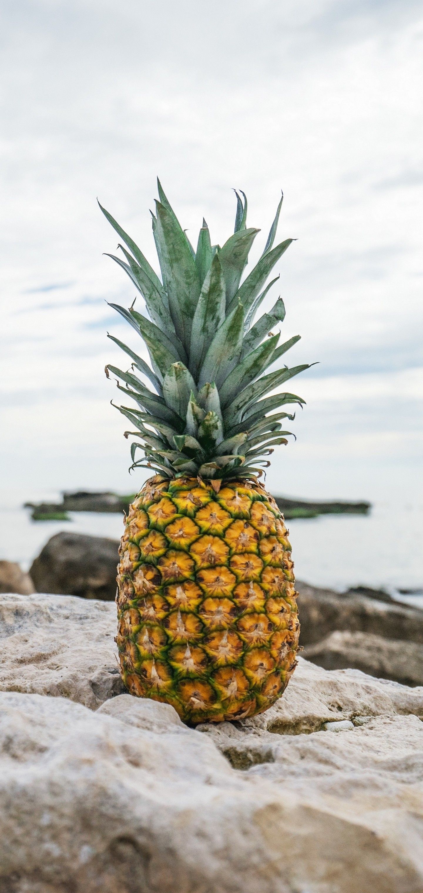 Pineapple Rocks Beach Wallpaper - [1440x3040]
