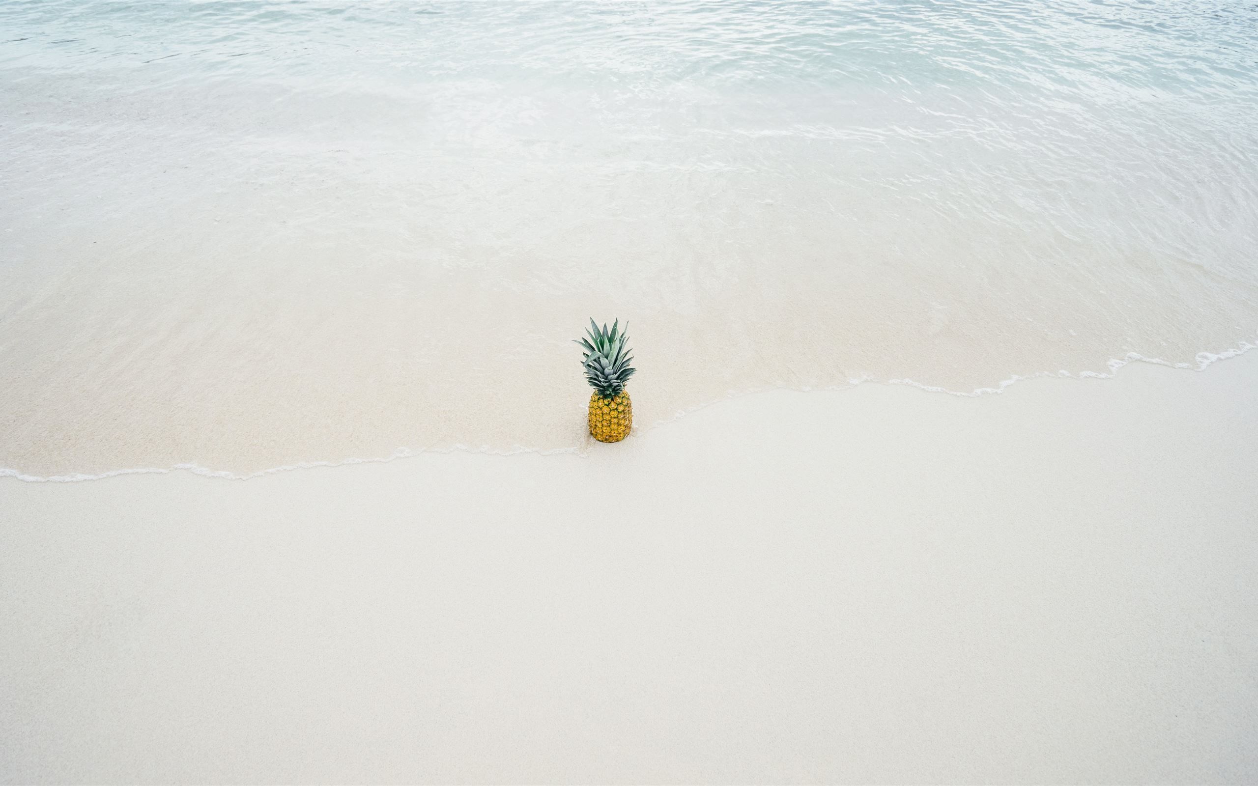 Pineapple in the beach sand MacBook Air Wallpaper Download