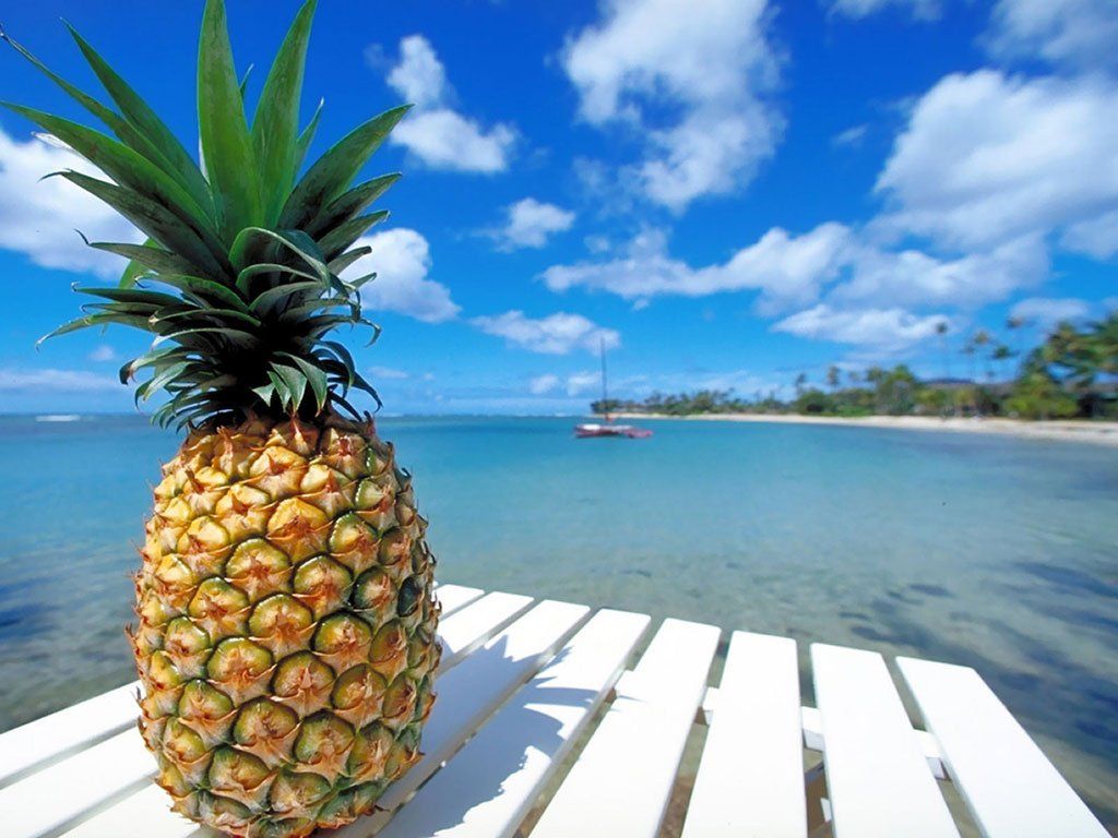Free download Pineapple Beach HD Wallpaper Fruits Wallpaper [1024x768] for your Desktop, Mobile & Tablet. Explore Pineapple Wallpaper. Pineapple Wallpaper Tumblr