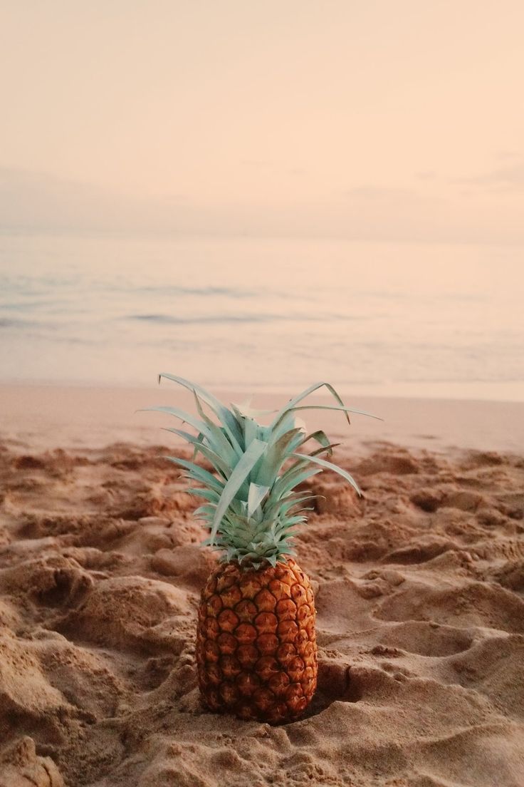 Pineapple Sunsets - #beach #pineapple #sunsets #paradise. Beach sunset wallpaper, Pineapple photography, Pineapple photo