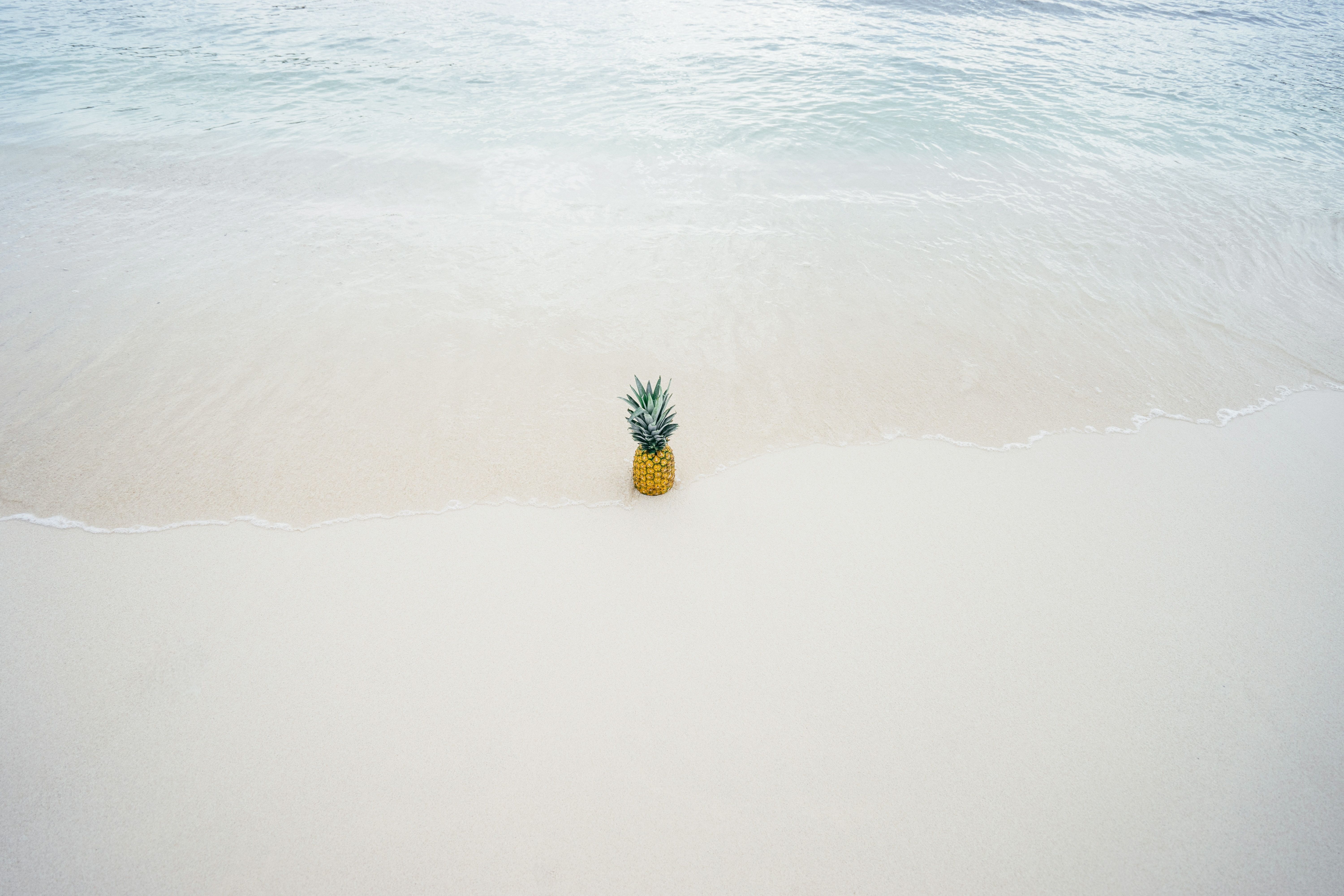 6000x4000 shore, pineapple, sea shore, water, tide, sea, pineaple, Free image, white sand, sand, wave, fruit, tropical, summer wallpaper, fresh fruit, ocean, beach, summer background, explore, wallpaper