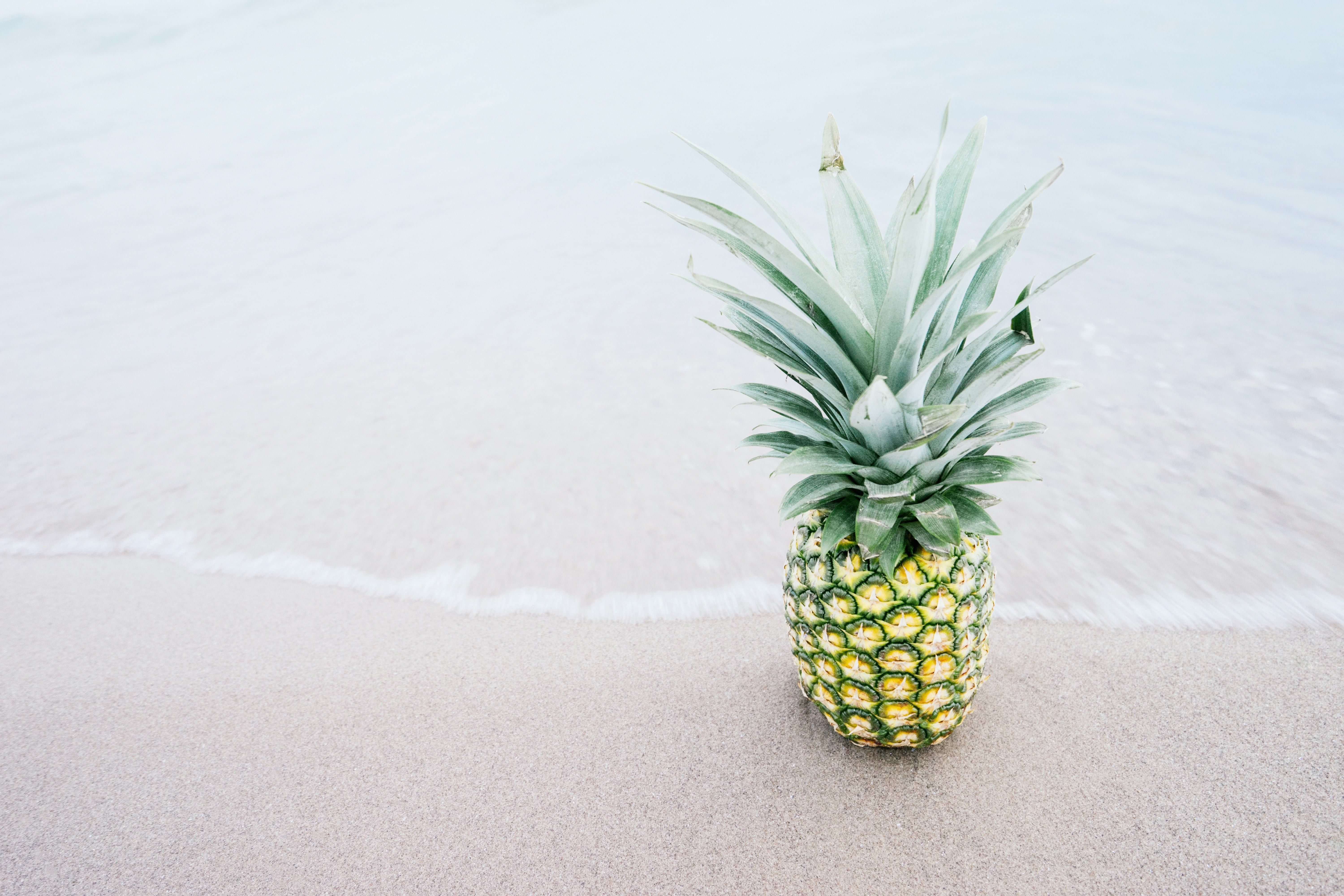Wallpaper, food, beach, branch, fruit, green, pineapples, pineapple, leaf, flower, produce, land plant, flowering plant, grass family, arecales 6000x4000