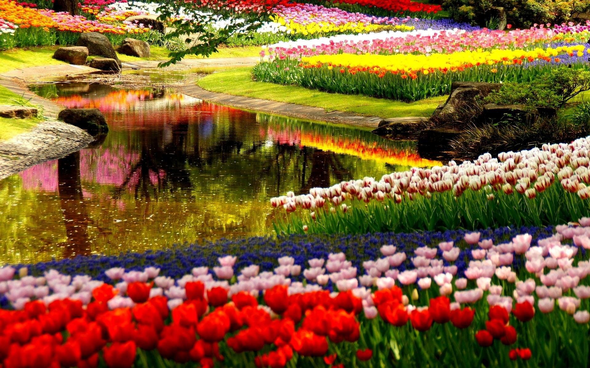 Spring Garden Wallpaper background picture