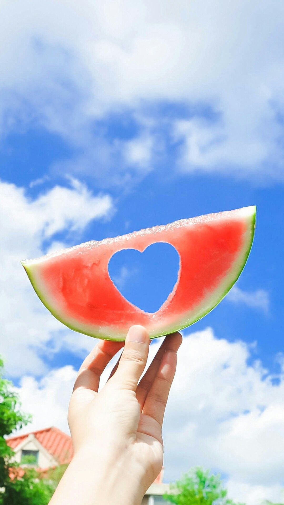 Hello Summer Iphone Wallpaper 05