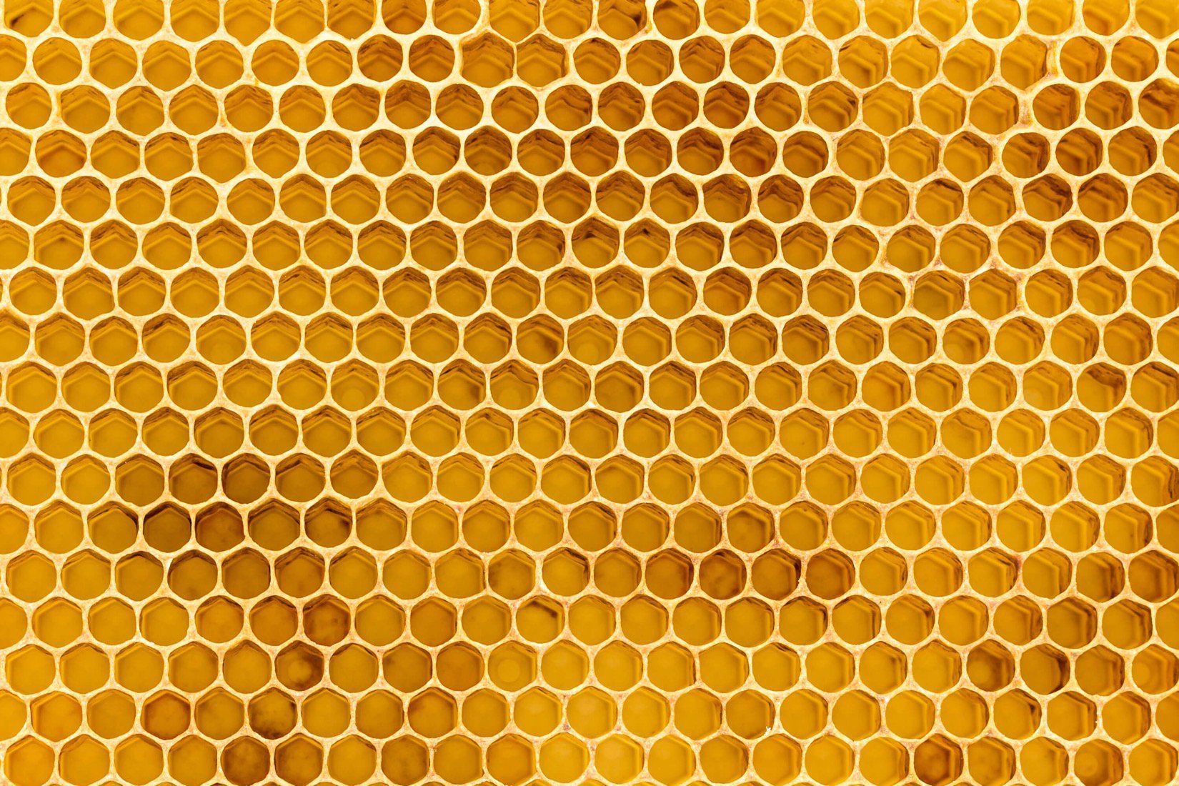 Beehive Wallpaper Free Beehive Background