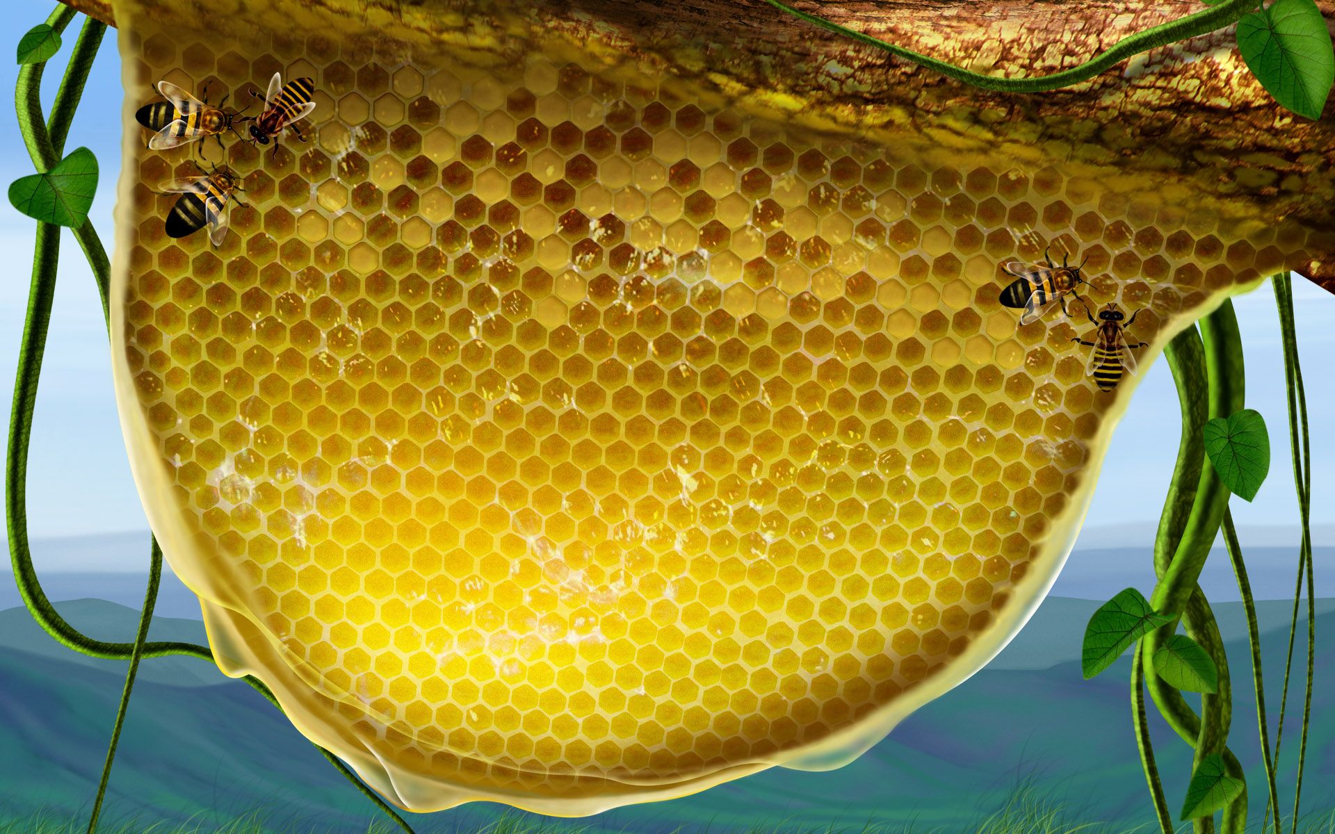Bee Honeycomb Wallpaper