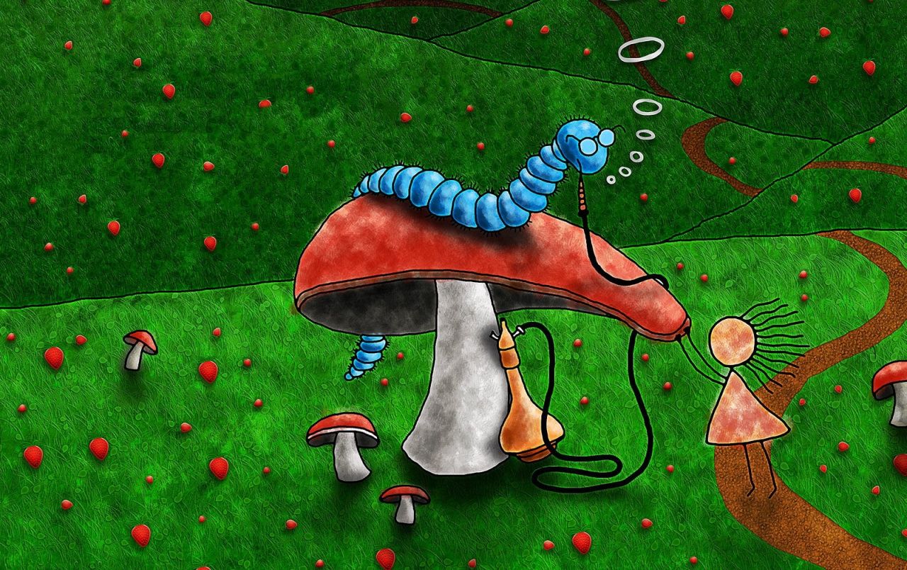 Worm On Mushroom Wallpaper On A Mushroom Wallpaper & Background Download