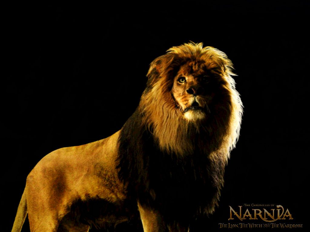 Narnia Aslan Wallpaper