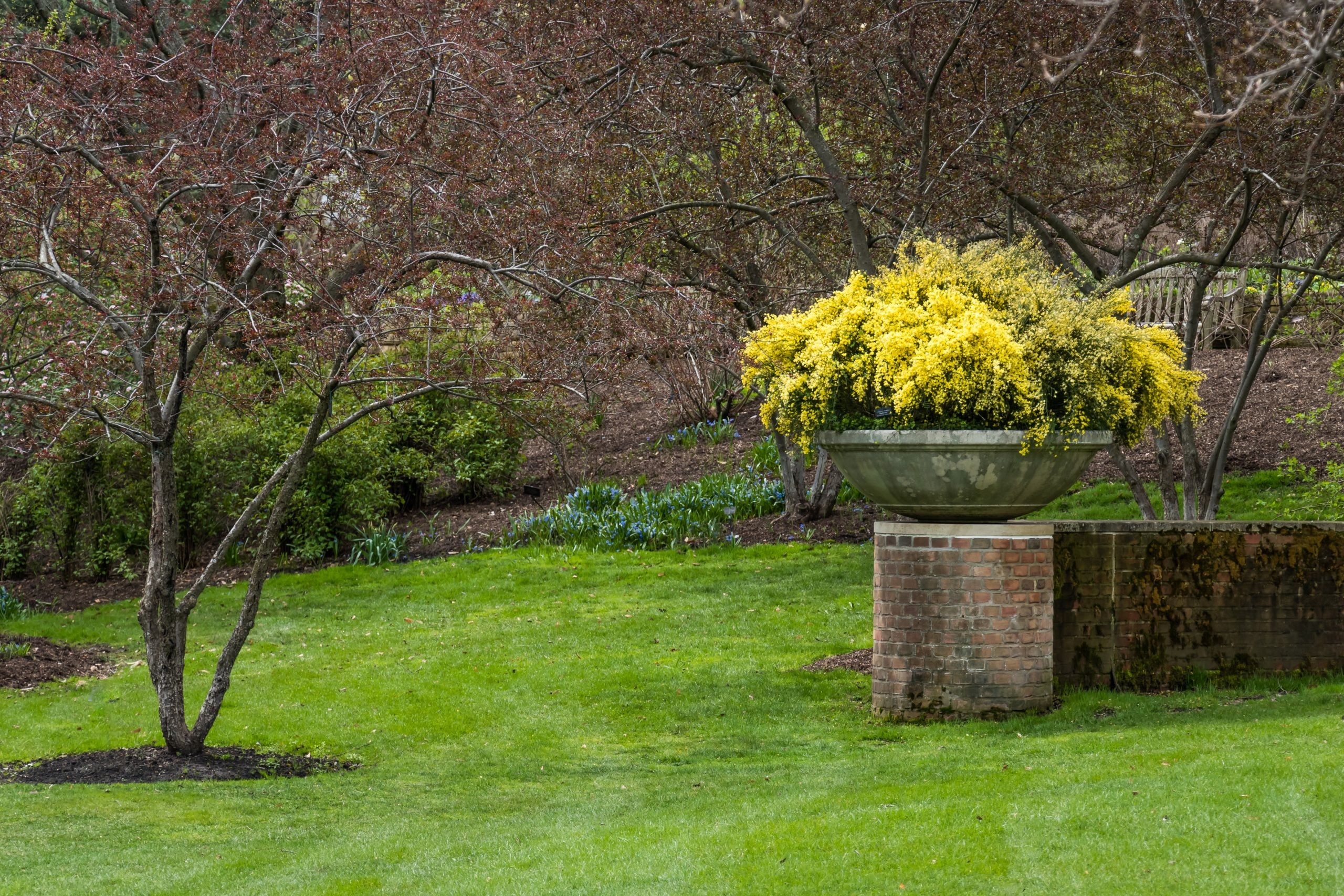 Desktop Wallpaper Chicago city USA Botanic Garden Nature 2560x1706