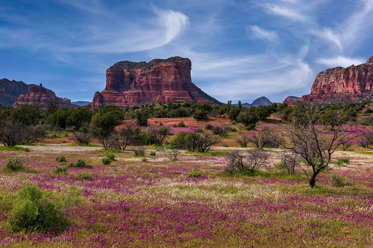 Spring Arizona Wallpapers Wallpaper Cave