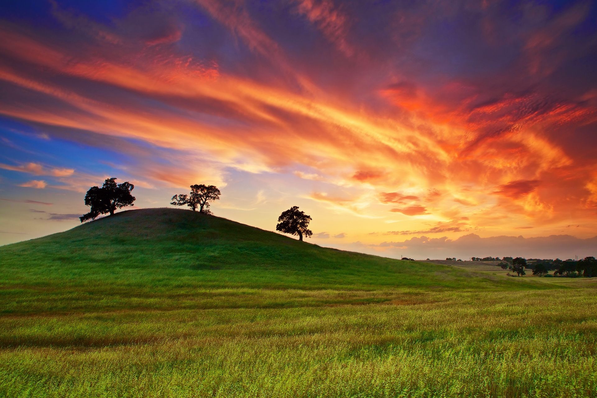 Download wallpaper 1920x1280 usa, california, sunset, spring, may, sky, clouds, field, grass, trees HD background