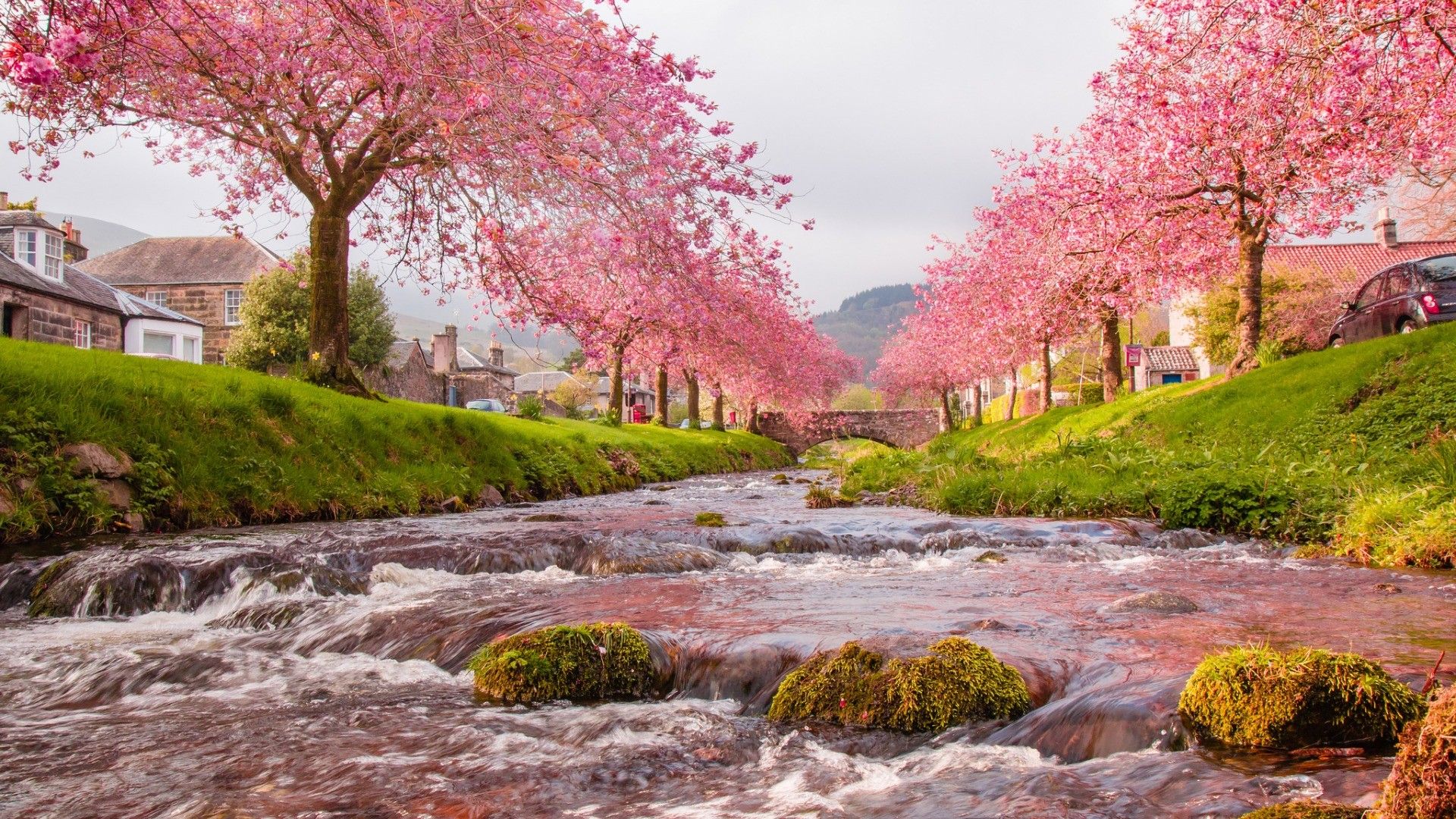 Time Bridge House Sky Trees Spring River Flowers Live River With Flowers