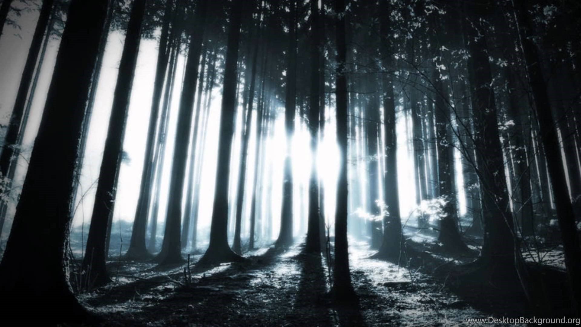 Alcest Elevation (Subtitulos En Español) YouTube Desktop Background