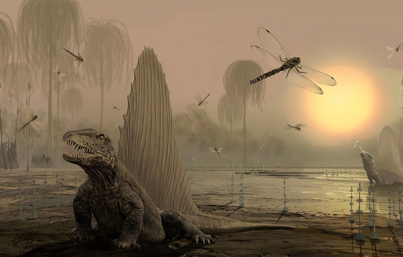 Wallpaper vegetation, pond, lizards, Dimetrodon, Dinosauria image for desktop, section рендеринг