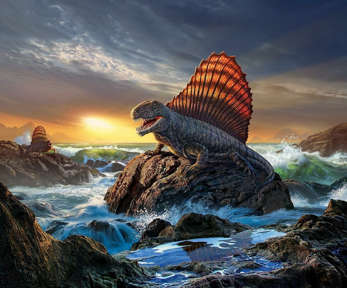 Dimetrodon. Prehistoric animals, Prehistoric creatures, Extinct animals