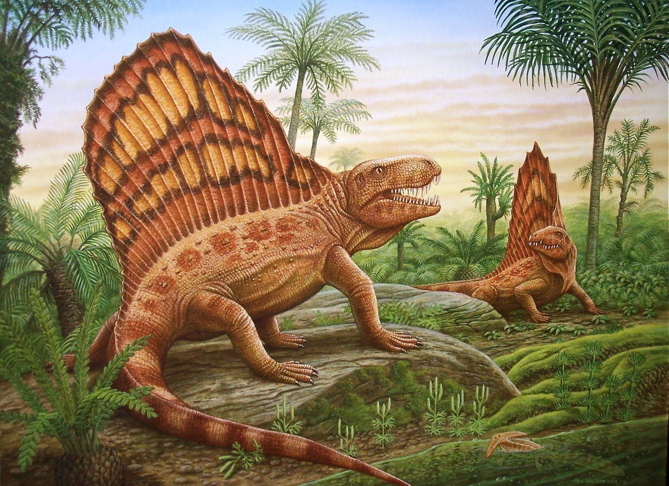 Dimetrodon Predator of the Permian. Prehistoric animals, Dinosaur, Prehistoric creatures
