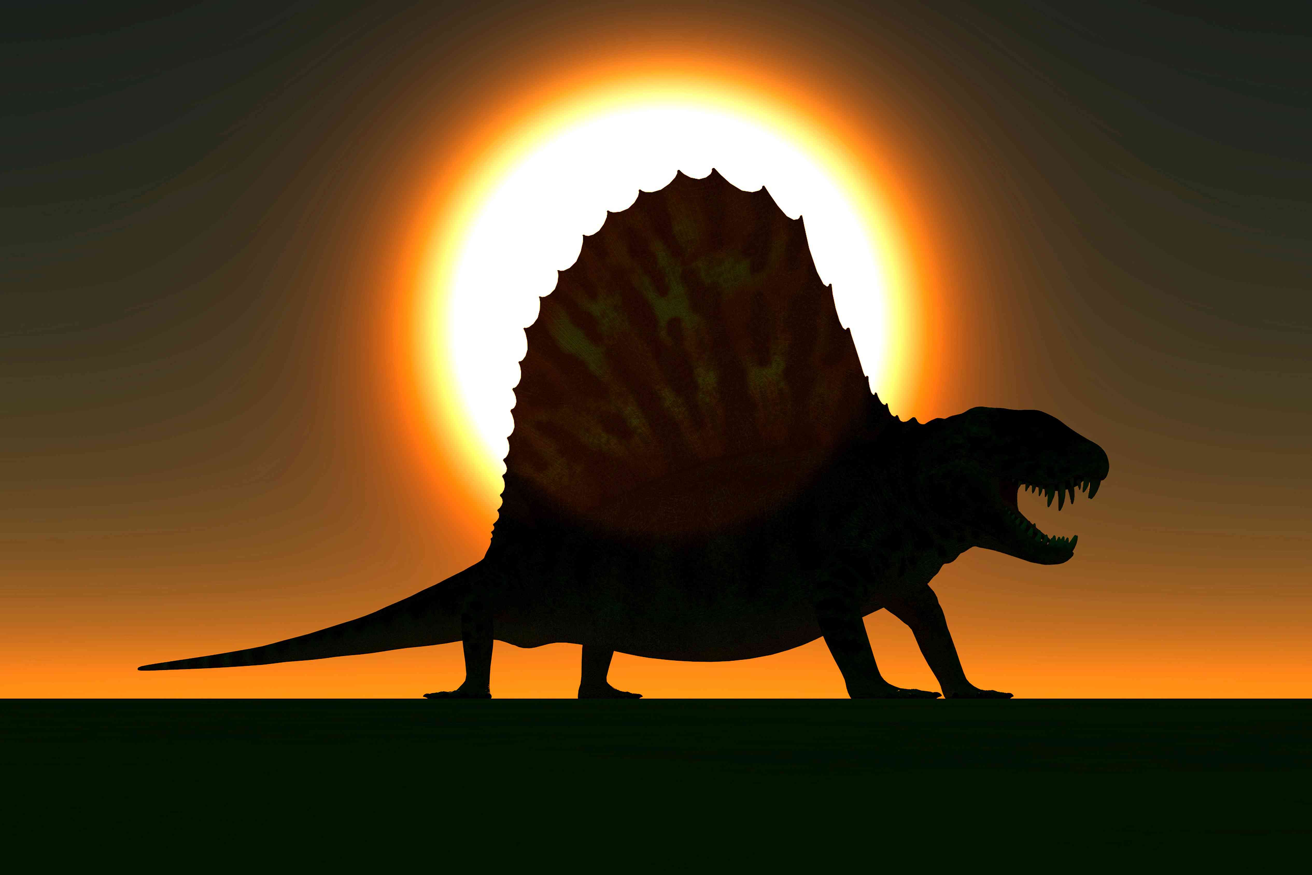 Facts About Dimetrodon, The Non Dinosaur Dinosaur