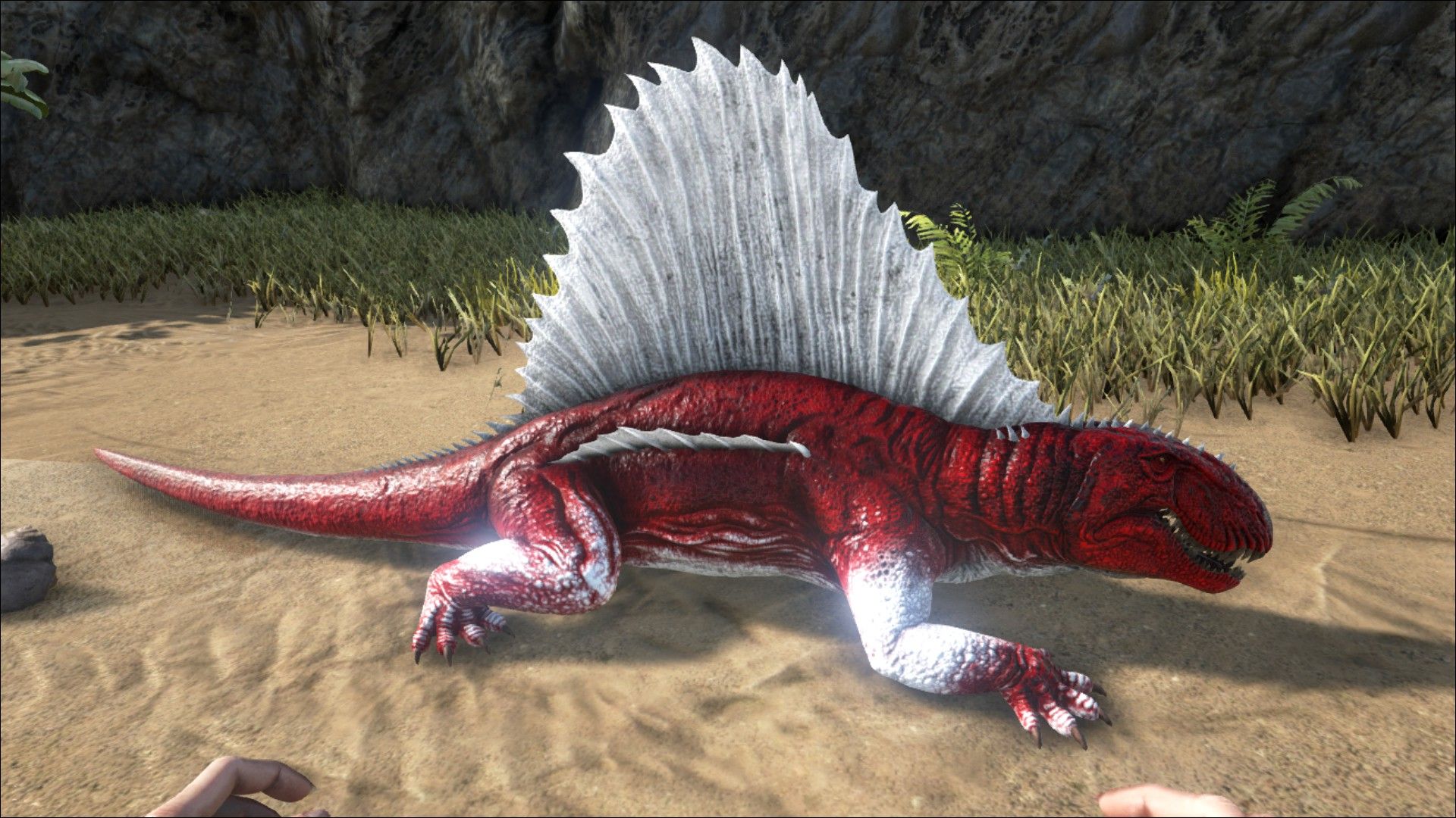 Dimetrodon ARK: Survival Evolved