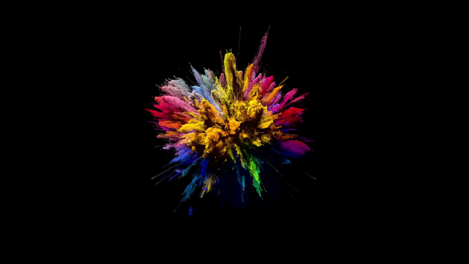 Cg Animation Of Color Powder Explosion On Black Background HD Wallpaper