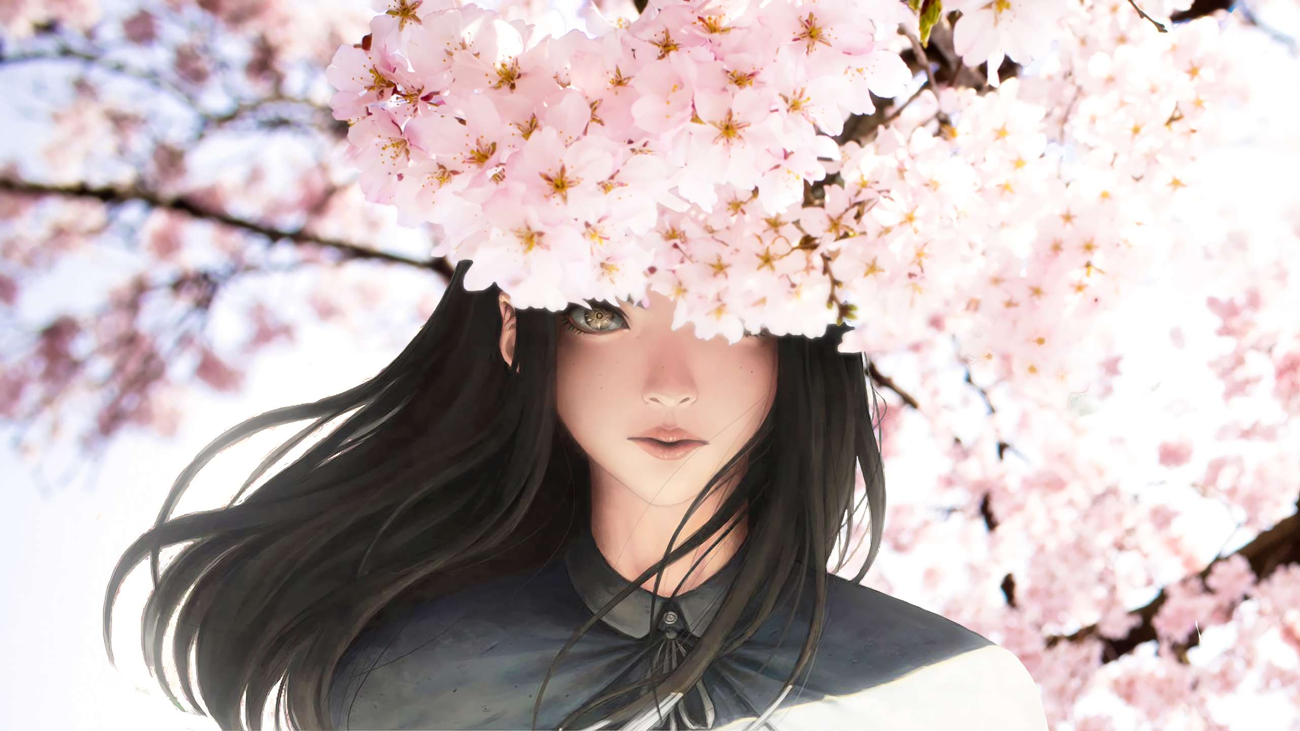 Cherry Blossom Anime Girl Wallpaper