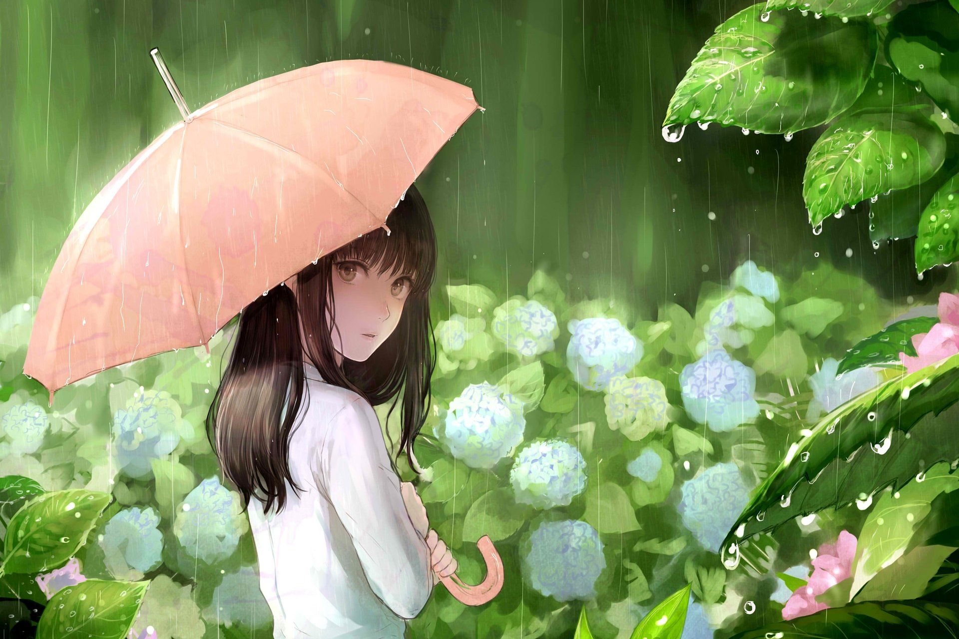 anime, Girl, Umbrella, Flower, Pretty, Cute, Spring, Rain Wallpaper HD / Desktop and Mobile Background