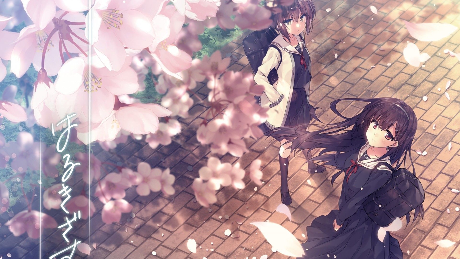 Download 1920x1080 Sakura Blossom, Spring, Anime Girls, School Uniform, Bag, Wind Wallpaper for Widescreen